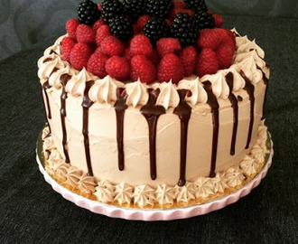 Double chocolate and raspberry cake