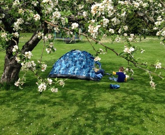 Under ett blommande äppelträd.