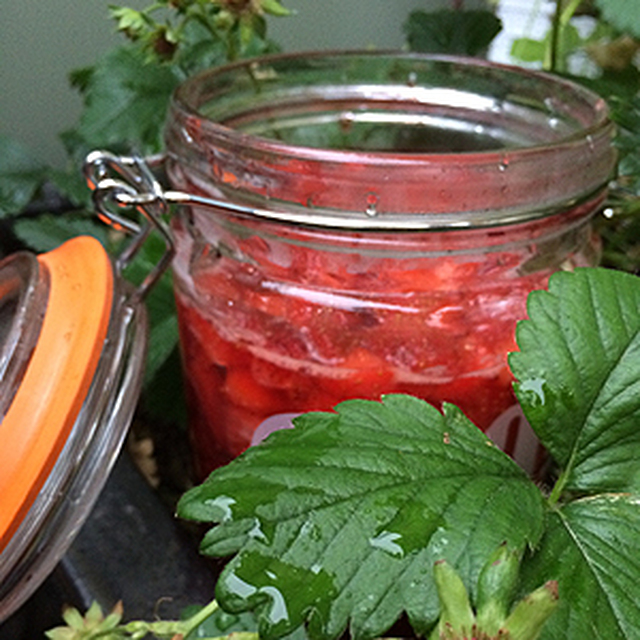 Ett försök till gröna fingrar och recept på jordgubbssylt med citron!