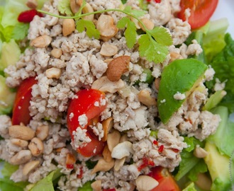 Thaikycklingsallad - perfekt strandmat!