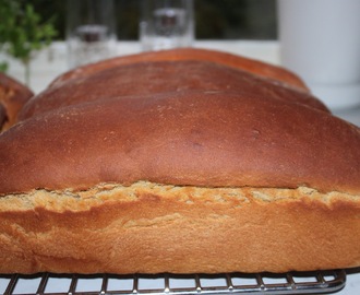 Lättbakade mjuka och goda limpor