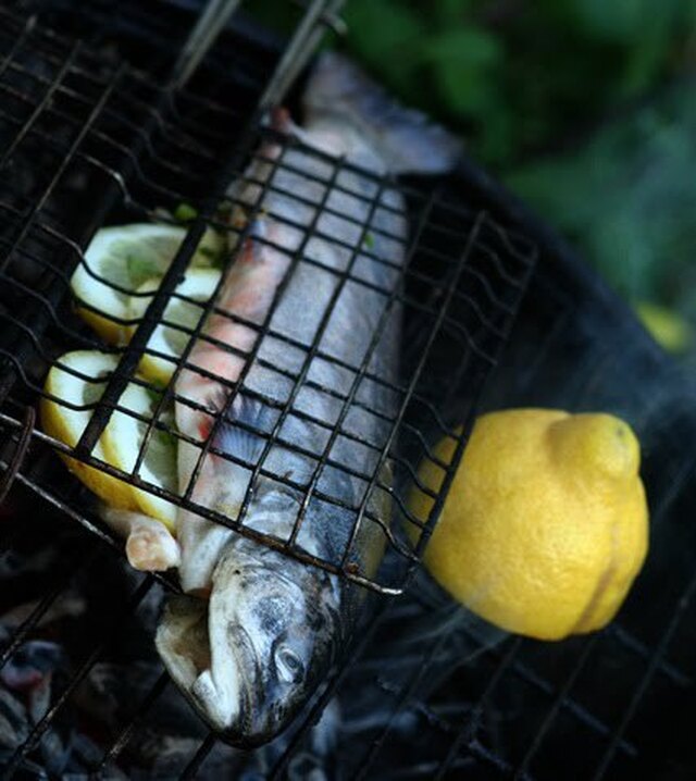 Fisk på grillen med rostad citronsås