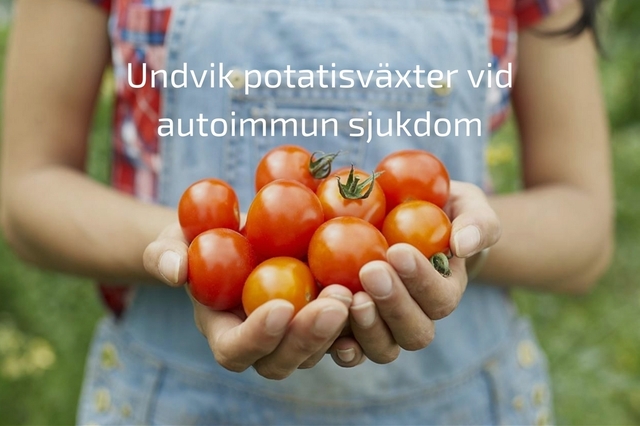 Därför kan potatisväxter vara ett problem vid autoimmun sjukdom