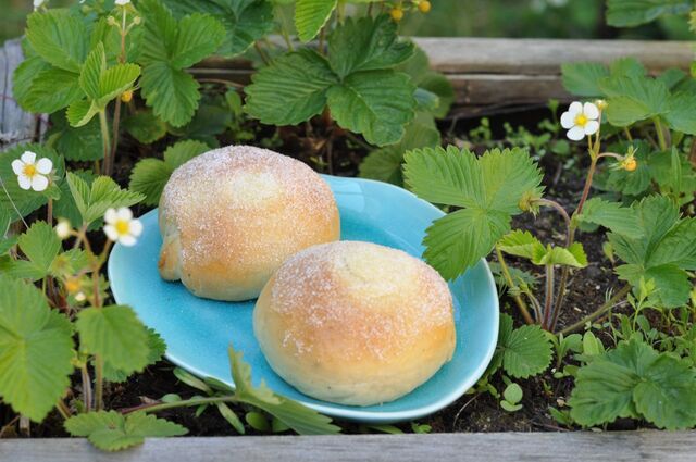 Sockerbullar med vaniljkräm