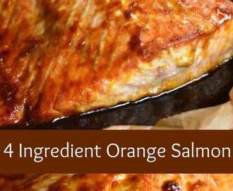 4 Ingredient Orange Salmon
