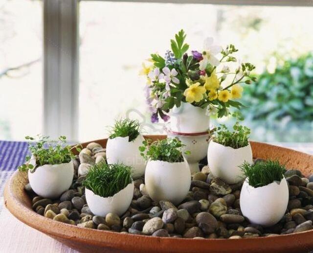 Recycling Egg Shells for Miniature Vases, Green Easter Decorating with Spring Flowers and Plants