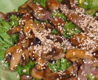 Ljummen biffsallad med teriyaki