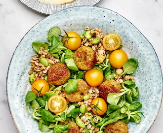 Falafel med hummus och matvetesallad