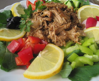 Pulled Turkey/Chicken i lergryta