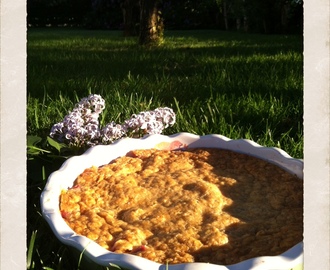 KNÄCKIG RABARBERPAJ MED KARDEMUMMA