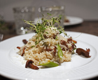 Risotto med kantareller, sparris och pecorino