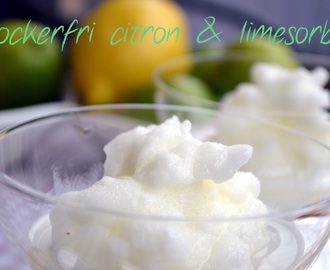 Sockerfri citron & limesorbet