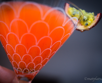 MATPLATSEN » Drinktips – Summer Sour