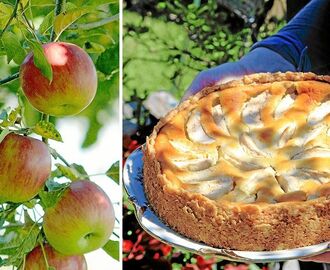 Äppelpaj med valnötter på krispig havrebotten