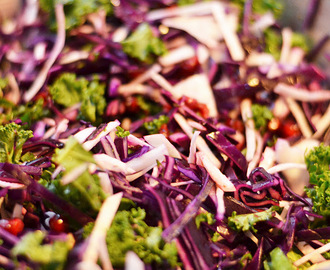 Syrlig och färgglad kålsallad