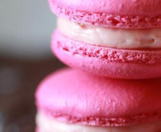 Sweet moment with my macaron.