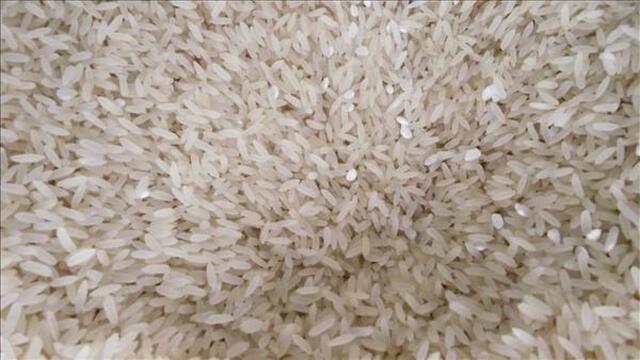 De olika sorters ris.