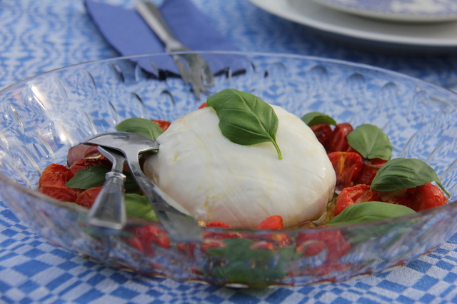 Burrata med ugnsbakade tomater och basilika