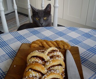 Fikapaus på landet med sötsugen katt