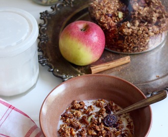 Glutenfri granola med äpple och kanel