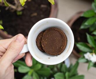 Kaffesump – mirakelmedel för din trädgård!