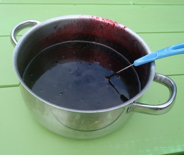Blåbärssoppa med vinbärssaft