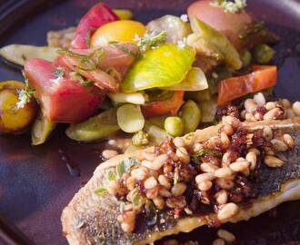 Stekt havsabborre med ljummen tomatsallad