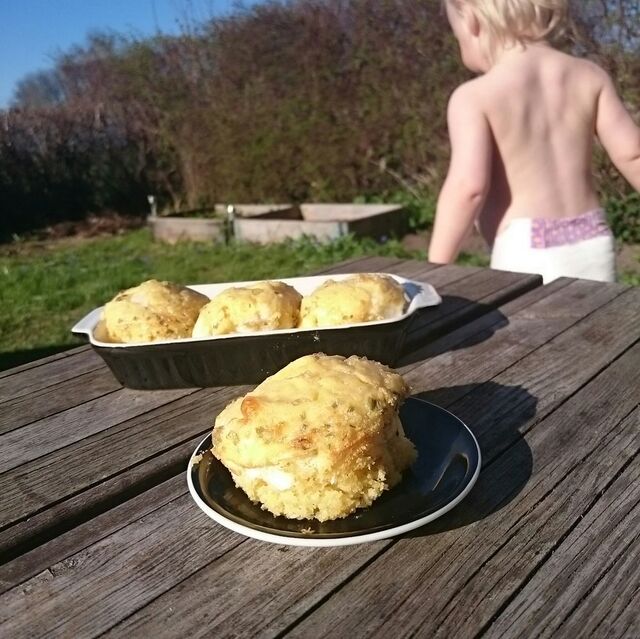 Glutenfria äggmuffins