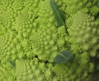 Smörstekt röding med gräddstuvade kantareller och romanesco