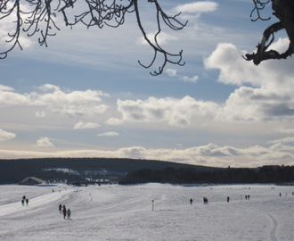 Halloumibröd