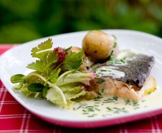 Grillad röding med smak av citrus