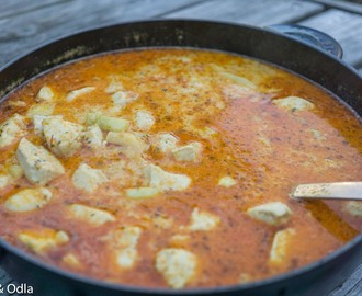 Indisk curry med blomkålsris