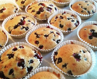 Blåbärsmuffins