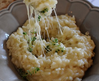 Från en krämig tryffel- och mozzarellarisotto till friterade risottobollar med morotstzatziki