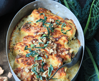 Ostfylld cannelloni med svartkål och valnötter