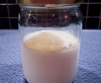 Kefir crème fraiche | Candida-dieten