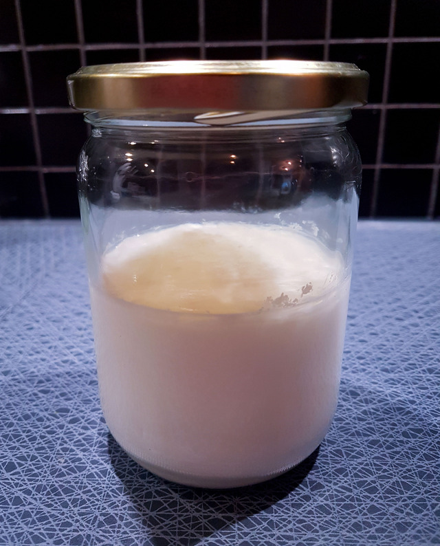 Kefir crème fraiche | Candida-dieten