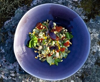 Grillad Zucchini med rostad tomatsås, vita bönor, basilika, kapris och pinjenötter