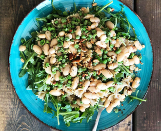 Fantastisk ruccola pastasallad med bönor & pesto