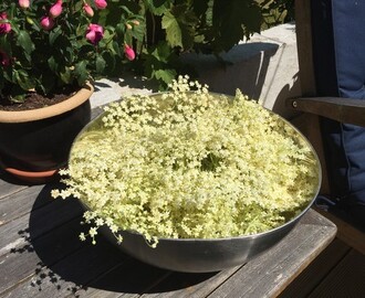 Blommor blir till dryck - sambucus nigra