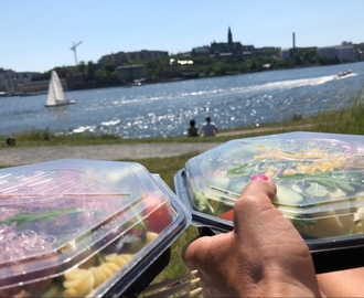 En underbar dag på djurgården