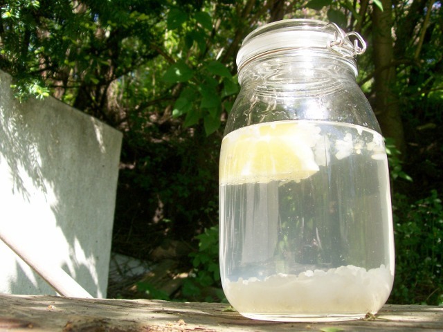 Vattenkefir med citron och ingefära