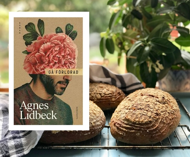 Recension: Gå förlorad av Agnes Lidbeck