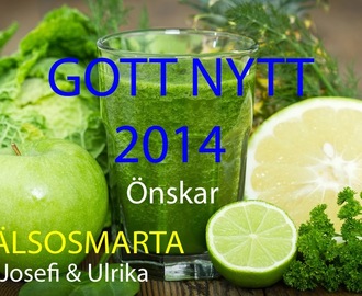 GOTT NYTT 2014