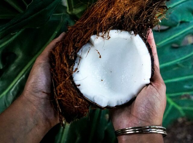 Gör din egen kokosmjölk – lätt som en plätt