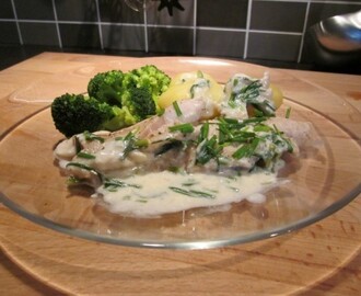 Abborre med kokt potatis, broccoli och sås