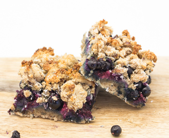 No-Sugar Coconut Berry Squares