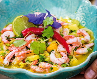 Syrlig räkceviche