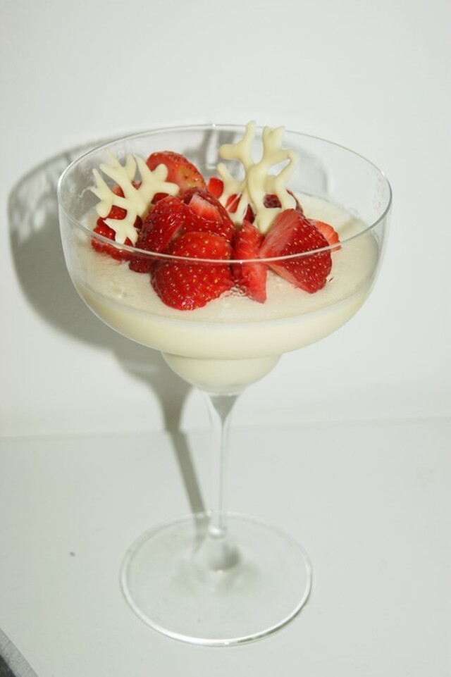 Panacotta med vitchoklad