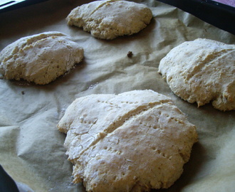 Glutenfria scones - vabscones
